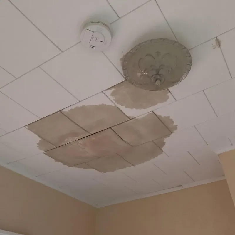 Ceiling Water Damage Repair in De Soto Parish, LA