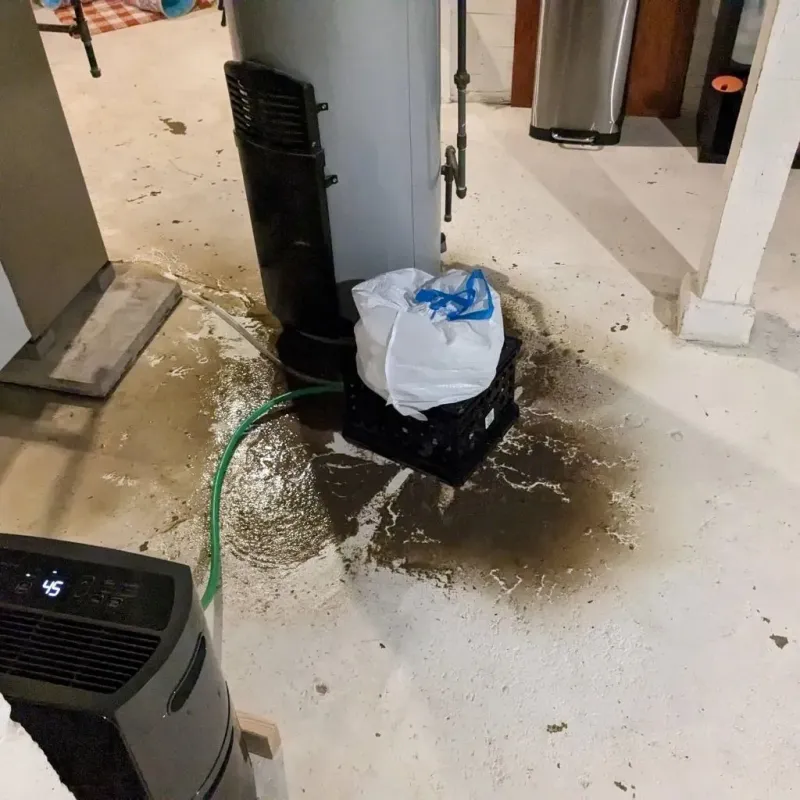Sewage Backup Cleanup Service in De Soto Parish, LA